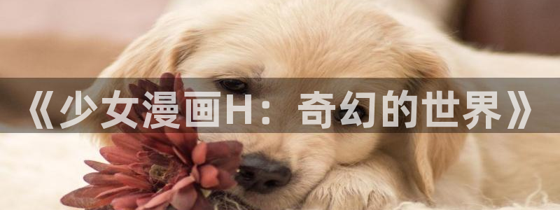 韩漫漫画在线观看