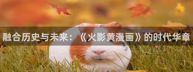 韩漫漫画免费全集：融合历史与未来：《火影黄漫画》的时代华章